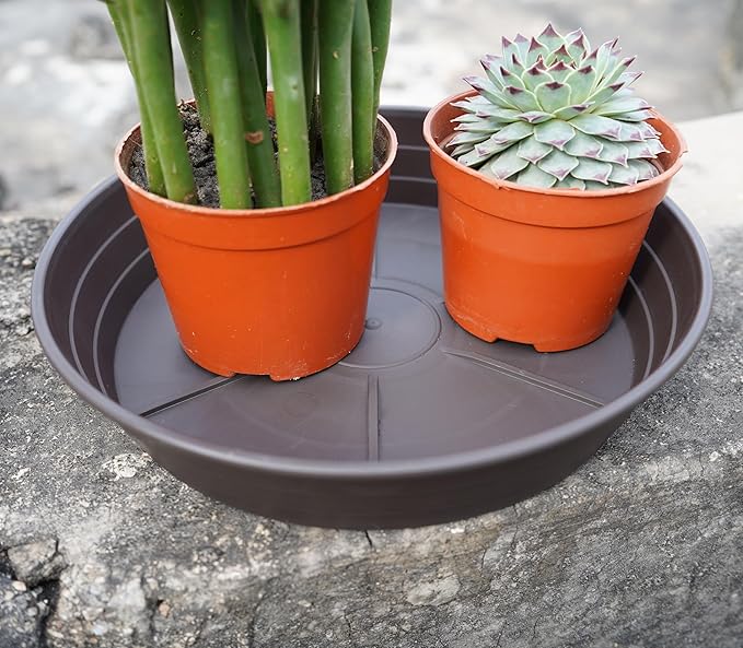 LWALRS Plant Saucer 14 Inch 4 Pack 6 8 10 12 14 16 18 20 25, Plastic Plant Trays for Pots，Extra-Deep Plant Water Dray Tray, Bird Bath Bowl, Heavy Flower Plant Saucers Indoors and Outdoor No Holes