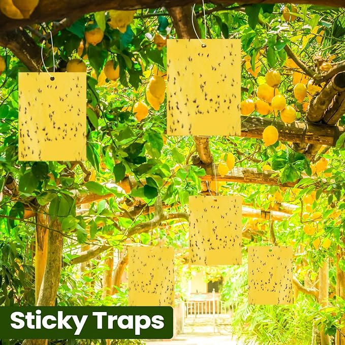 Qualirey 25 Pcs 6x8 Inch Yellow Sticky Traps for Gnats, Dual-Sided Sticky Gnat Traps for Indoor Outdoor Plants, Pest Control for Fungus Gnats, Fruit Flies, Whiteflies with Twist Ties