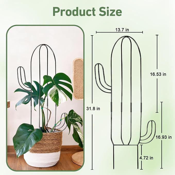 Plant Trellis for Climbing Plants Indoor, Cactus Trellis for Potted Plants, Pothos Hoya Monstera Metal Houseplant Climbing Support for Garden Balcony, 2P