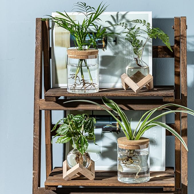 Plant Propagation Station, 2 Style Glass Planter Terrarium Set for Hydroponic Plants | Home Office Tabletop Decor, Gardening Gifts for Women, Mom, Plant Lovers (12)