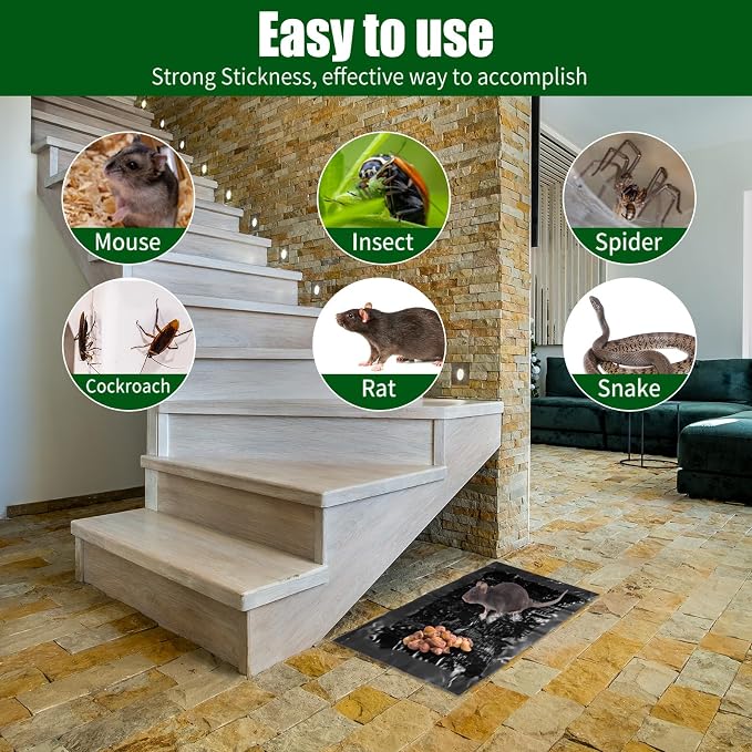 Qualirey 12 Pcs Large Sticky Mouse Glue Traps Black Sticky Rat Trap that Work for Rats Roaches Rodents Heavy Duty Pre Baited Mats Indoor Outdoor Catch Pest (11.8 x 11 Inch)