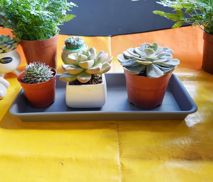 VUWEZ 4 Pack Plastic Plant Trays - Rectangular 17 18 inch, Indoor/Outdoor Plant Water Drip Trays for Flower Pot Planter, Windowsill (7.8 x 17.5'', Gray)
