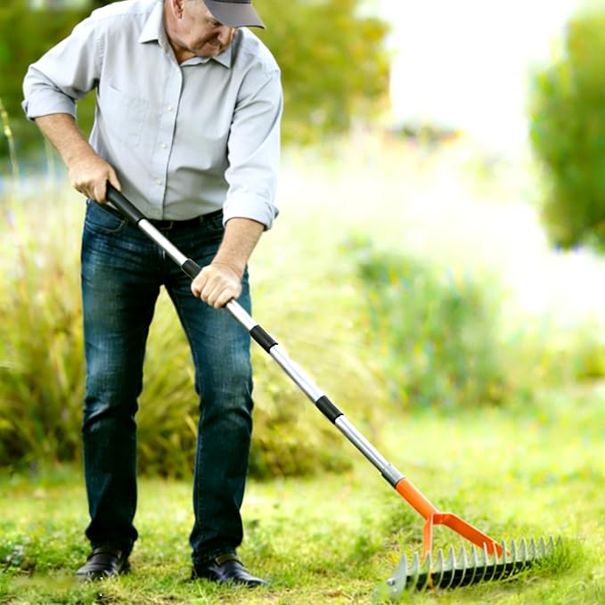 Thatch Rake for Lawn,15" Dethatcher Rake,Heavy-Duty Metal Thatching Rake,68" Adjustable Manual Dethatcher with 19 Tines,Dead Grass Remover Tool for Yards and Gardens