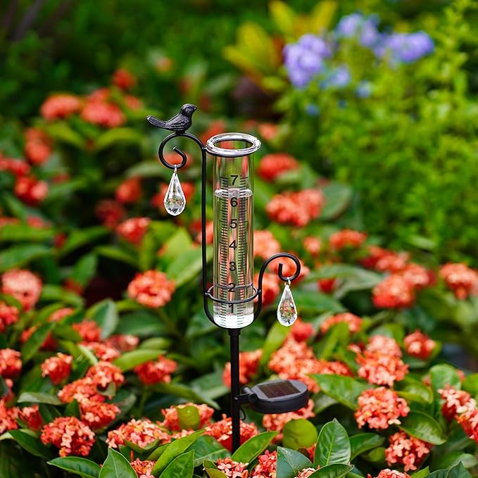 Bird Rain Gauge Outdoor with Solar Led Lights with Two Water Droplet Shaped Crystal Pendants. Bird Rain Gauge Decorative for Yard Garden Patio Lawn. Decorative Garden Yard Decor