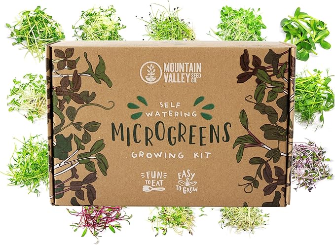 Self-Watering Indoor Microgreens Kit – Complete Soil-Based Growing Set for Vegetable and Herb Microgreens – Includes Black Sunflower, Pea Shoots, Swiss Chard, and Cilantro Seeds