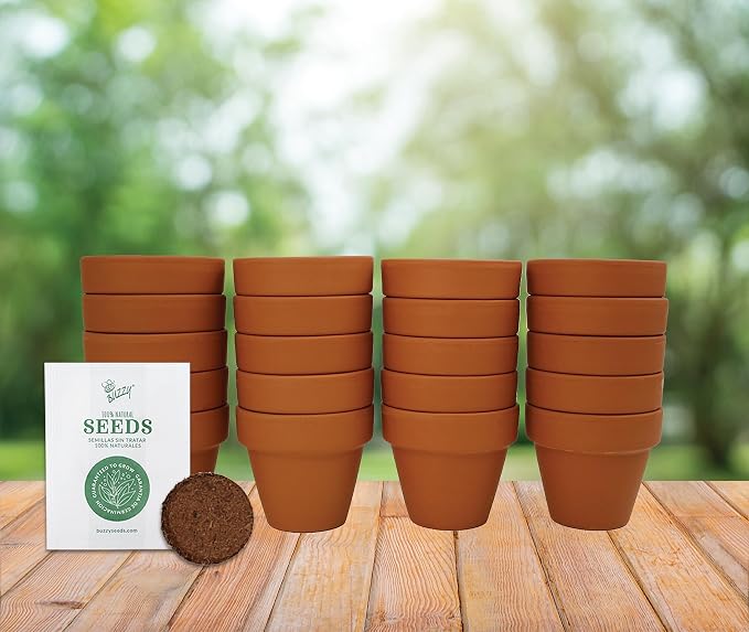 BUZZY Seeds Mini Terracotta Grow Kit, Assorted 20-Pack - Mini Terracotta Pot Grow Set - 100% Grow Guarantee