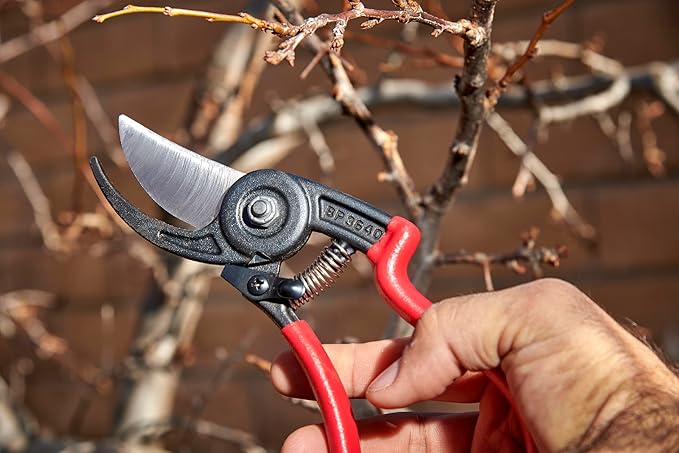 Corona BP 3640 Forged Steel ErgoACTION Angled Bypass Hand Pruner - 3/4 inch Cut Capacity Stem and Branch Garden Shears, Red (Pack of 6)