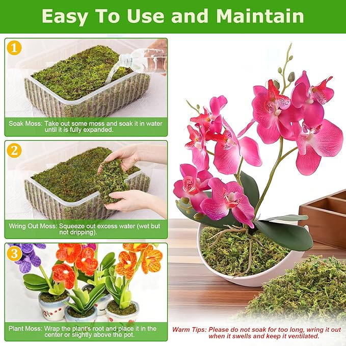 Legigo 3.5OZ Sphagnum Moss for Plants, 4QT Natural Orchid Moss Potting Mix Dried, Green Forest Plant Moss for Orchid Repotting Carnivorous Succulents Indoor Potted Plants Gardening and Reptiles