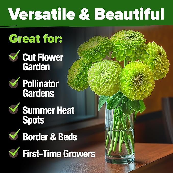 HOME GROWN Envy Zinnia Seeds (1g) – 1000 Rare Lime Green Annual Zinnia Flower Seeds for Planting, Fast-Growing Heat-Loving Variety, Premium Herb Seeds Garden Companion for 2026 Blooms (Zinnia elegans)