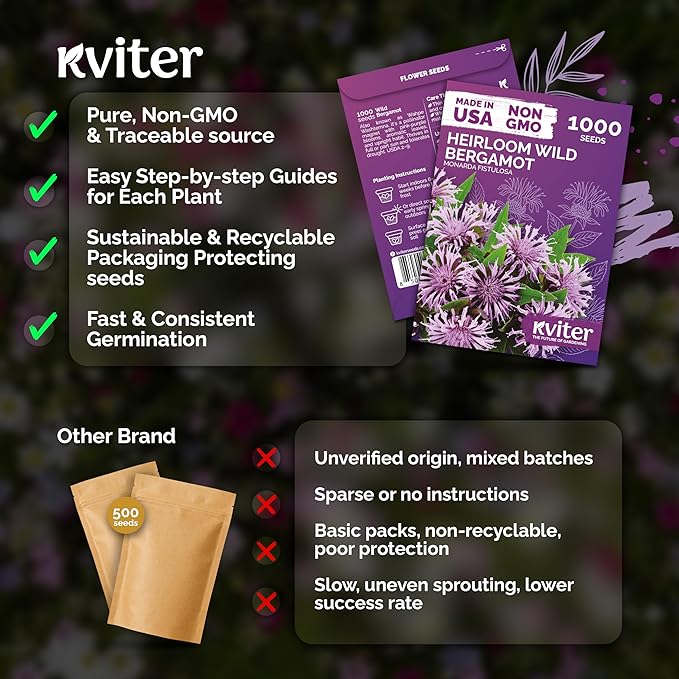 KVITER 1,000 Wild Bergamot Seeds for Planting (Monarda fistulosa) – Bee Balm Native Wildflower, Pollinator Magnet, Non GMO – Perennial Flower Seeds to Plant Outside in Flower/Herb Garden