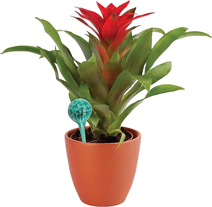 Maxam Wyndham House, 2 Piece Watering Globe Set, Colorful Hand-Blown Glass Plant Watering System