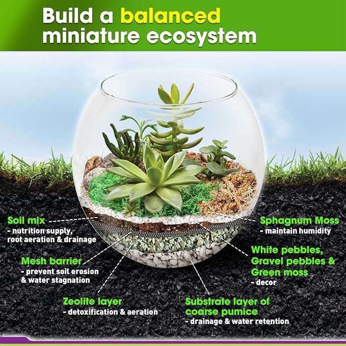 DUSPRO Terrarium Kit, Include Potting Soil, Pumice, Zeolite, Green Moss, Sphagnum Moss, Decorative Stone, Mesh, Tools, DIY Terrarium Kit for Kids, Air Plant, Succulent