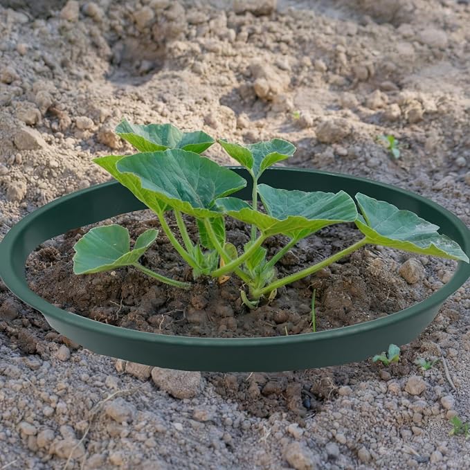 6-Pack Planting Grow Rings, 8.6-Inch Round Plant Support Rings Garden Guard & Edging, Deep Watering for Vegetables Herbs Flowers