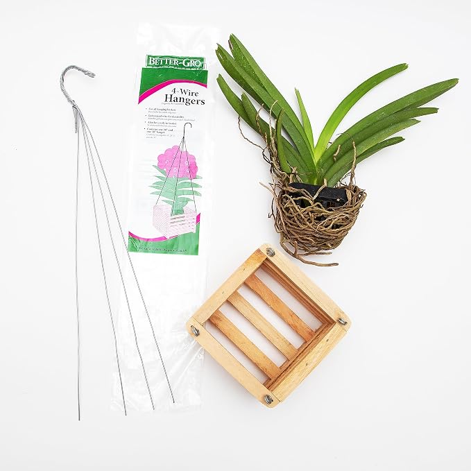 Better-GRO Cedar Slat Vanda Basket - 6 inch Square