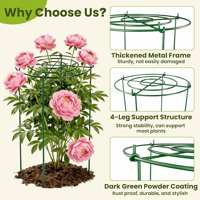6 Pack Peony Cages and Supports, 12" x 24" Tall Peonies Support Cage | Heavy Duty Metal Peony Stakes and Supports for Rose Hydrangea Flower Plant