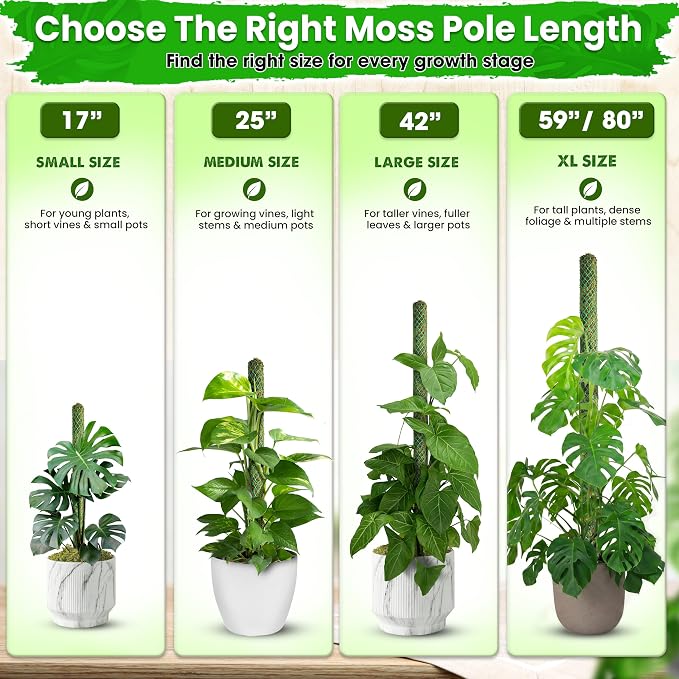 DUSPRO 4 Pack 25’’ Mesh Moss Pole for Climbing Plants, Natural Moss Pole Monstera Plant Support, Real Moss Poles for Plants Indoor, Moss Stick for House Plants, Moss Stakes for Climbing Plants