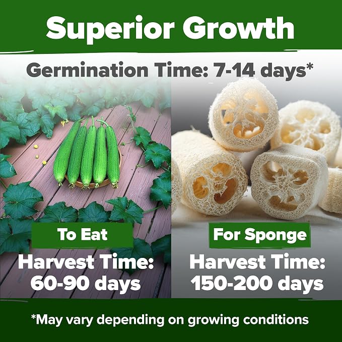 HOME GROWN Heirloom Garden Seed Kit – 3-Pack | Cherokee Purple & Large Red Cherry Tomato + Luffa Seeds | Non-GMO, USA-Sourced, High Germination Vegetable & Loofah Seeds for Sustainable Gardening