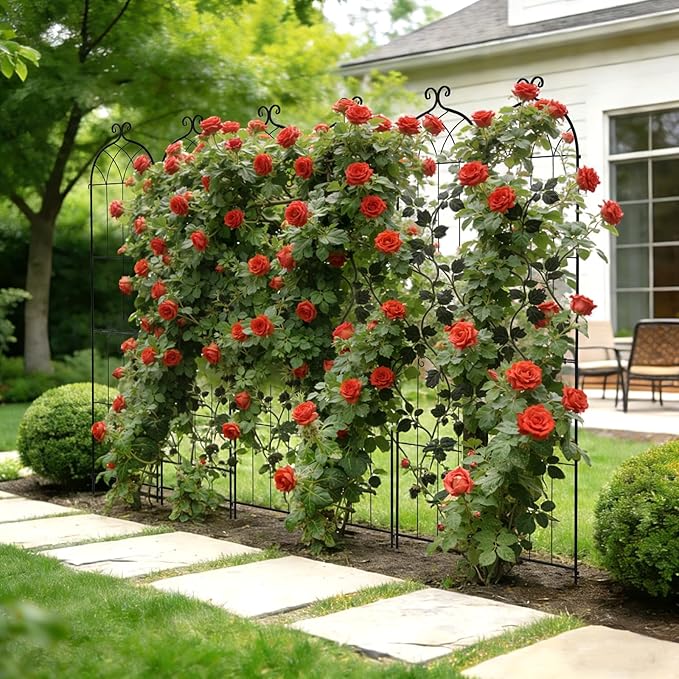 VEVOR Garden Trellis, 87 x 20 inch Rose Trellis, 2 Packs Garden Flower Rose Trellises with Powder-Coated Finish & Convenient Locking Design, Plant Support Trellises for Flowers, Vegetables, Roses