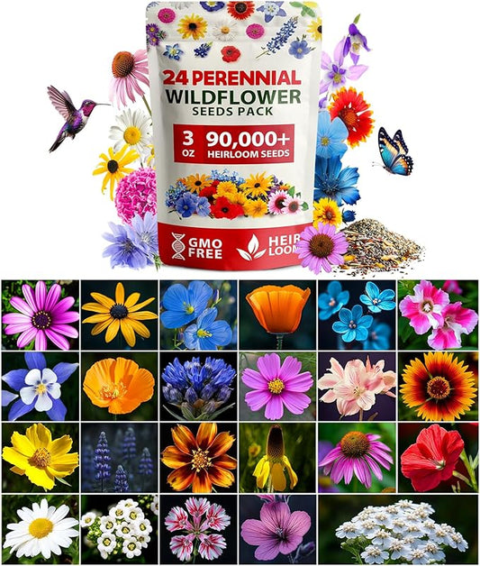 HOME GROWN Wildflower Seeds Bulk Mix | 90,000+ Non-GMO Perennial Flower Seed for Outdoor Planting | 24 Varieties to Attract Bees, Birds & Hummingbirds | Butterfly Garden | 3 oz