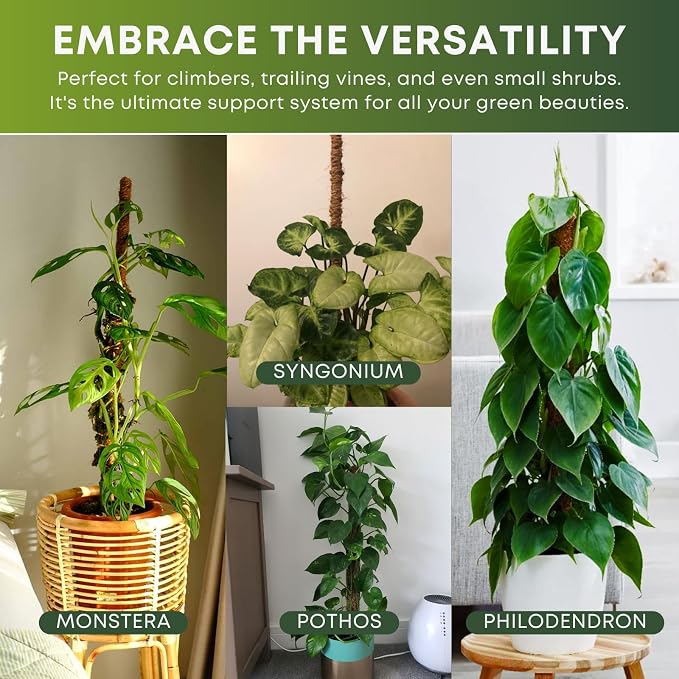 Bendable Moss Pole for Plants | 2 Pack 60 Inch Tall Moss Pole Monstera Plant Support | Large Poles for Climbing Plants | Handmade Plant Sticks Support Tall Potted Plants