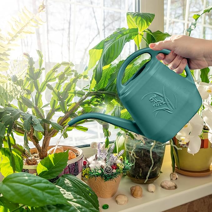 Hand Plastic Watering Can - for Home Plant Garden - 1/2 Gallon - Green