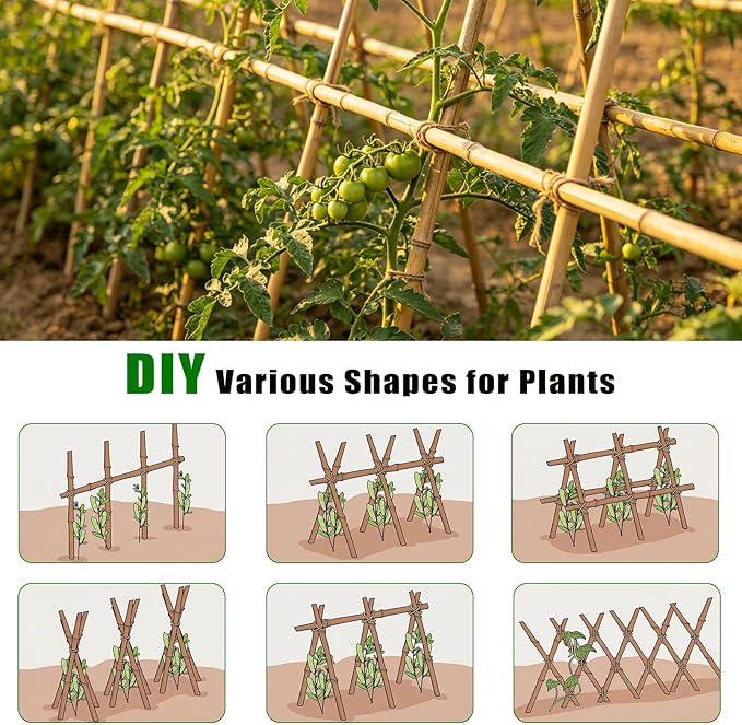 Plant Bamboo Post,8Feet,40Pack,Bamboo Garden Stakes,Bamboo Stakes,for Tomato,Beans,Vegetable and Flowers, Potted Plants,Indoor and Outdoor Climbing Plants (8Ft,40Pack)