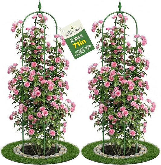 2 Pack Garden Obelisk Trellis for Climbing Plants, 6 FT Metal Rustproof Plant Support Rose Trellis, Tower Potted Cages for Flowers Fruits Vegetable Vines Indoor & Outdoor, Green(4 Tiers)