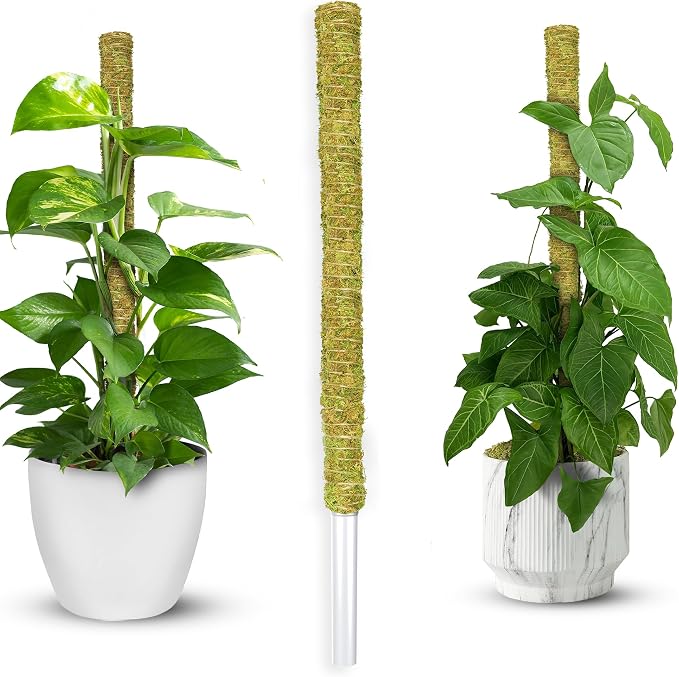 DUSPRO Natural Moss Pole for Plants Monstera, Forest Moss Stick, Monstera Plant Support, Handmade Plant Stake for Indoor Potted Plants to Grow Upward, 1 Pc 22"