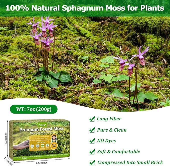 Legigo 7OZ Sphagnum Moss for Plants, 10QT Natural Orchid Moss Potting Mix Dried, Green Forest Plant Moss for Orchid Repotting Carnivorous Succulents Indoor Potted Plants Gardening and Reptiles