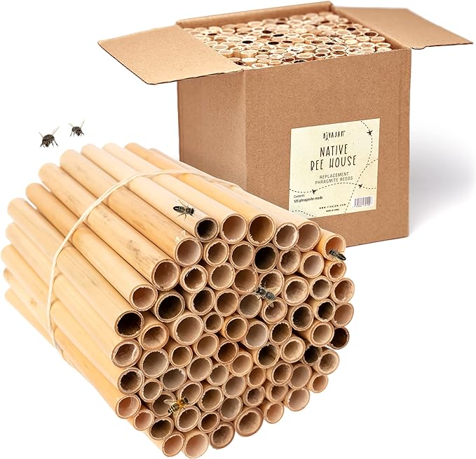 Rivajam 125 Phragmite Reed Mason Bee Tubes | Refill for Bee House, Hotel Nest Box, Solitary Hive & Pollinator Box | Garden Starter Kit & Supplies