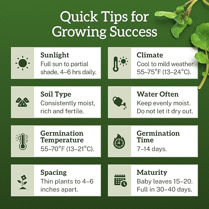 TKE Farms & Gardens - Watercress Seeds for Planting, 1500+ Non-GMO Heirloom Seeds, Grow a Nutrient-Rich Superfood, Easy for Indoor & Outdoor Gardens, Includes Planting Instructions, Qty 1