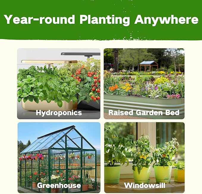 USDA Zone 8 Heirloom Seed Bank, 30,000+ Non-GMO 32 Varieties of Heirloom Seeds for Planting Vegetables Herbs, Survival Seed Kit for Raised Garden Bed Greenhouse, Gardening Gifts for Women Men