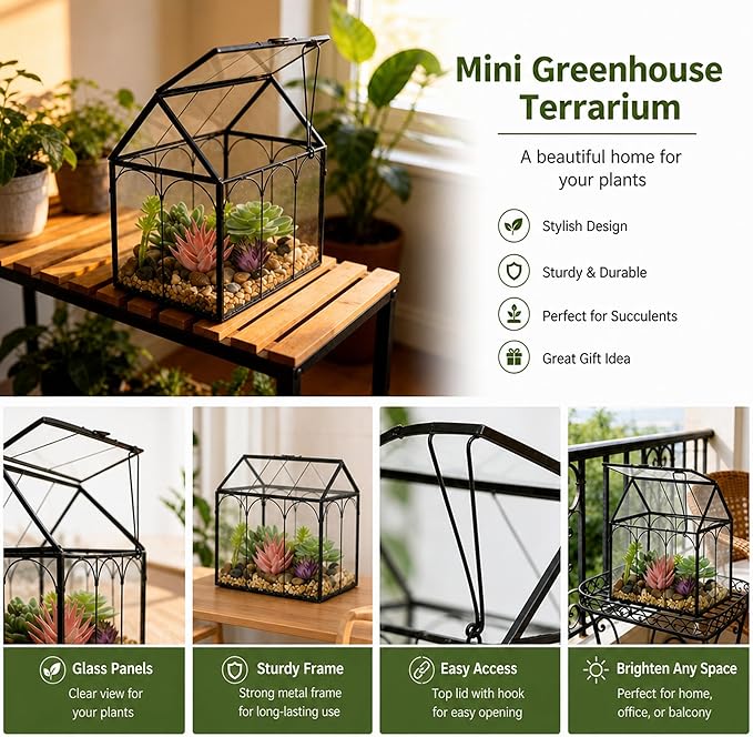 Ferrisland Glass Plant Terrarium Container Wardian Case Indoor Small Succulent Terrarium Planter W/Door for Tabletop Decor DIY (6" L x 4.3" W x 6.3" H)