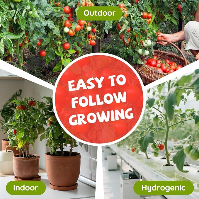 10 Heirloom Tomato Seed Varieties Packet - Open Pollinated Seeds for Planting Home Garden - Beefsteak, Roma, San Marzano, Cherokee Purple, Cherry Tomato & More