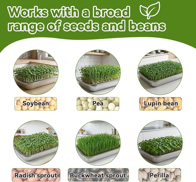 2-Pack Stainless Steel Seed Sprouting Tray Kit, Soil-Free Microgreens Growing Kit with Towel & Gauze, Sprouting Trays for Microgreens Beans Alfalfa Broccoli Wheat Grass (10.6" x 7.8")