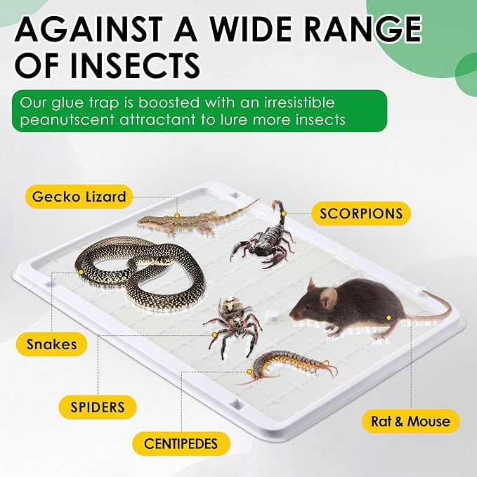 Qualirey 10 Pack Jumbo Rat & Mouse Glue Traps, 11.8 X 9.84 in Large Heavy Duty Mouse Traps Indoor for Home, Pre Scented Adhesive Plastic Tray with for Spider, Snake, Mice, Kids and Pet Safe (White)