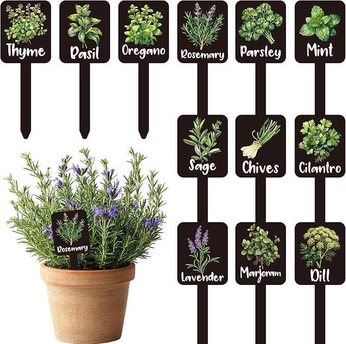 Whaline 12Pcs Herb Plant Label Signs 12 Styles Garden Herb Markers Thickened Waterproof Acrylic Plant Stake Tags with Names for Nursery Indoor Outdoor Garden Decor