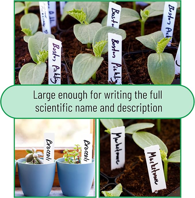 Mr. Pen- Plastic Plant Labels, 100 Pcs, 4“, White, Plant Markers and Labels for Outdoor Garden Waterproof, Plant Name Tags, Planting Sticks for Seeds
