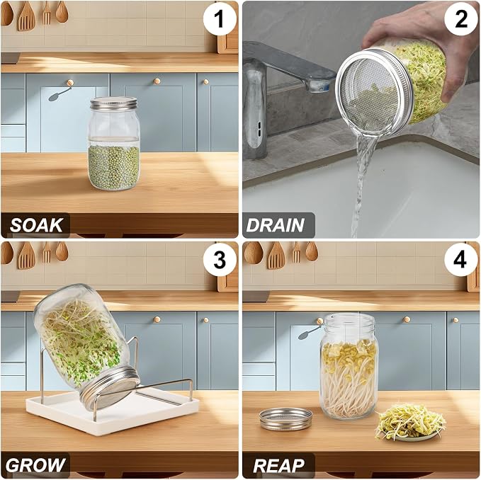 Lulonpon Sprouting Kit, 2 Sprouting Jar Kits, Wide Mouth Quart Mason Jars with Stainless Steel Screen Sprout Lids,1000ml Sprouts Growing Kit, Seed Sprouter Set for Growing Broccoli, Bean, Alfalfa