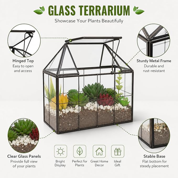 Ferrisland Glass Terrarium Greenhouse House Shape Display Box Planter for Succulents Plant Terrarium Container Mordern Tabletop Decor Gardern DIY Kit