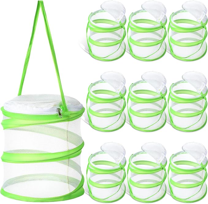 Sherr 10 Pcs Mini Butterfly Habitat Cage Clear Mesh Butterfly Net Cage Container Foldable Terrarium, 6.2x7.1inch (Green)