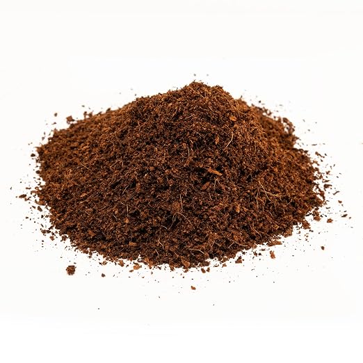 Zoo Med Eco Earth Compressed Coconut Fiber Substrate Reptiles 1 Brick - 3 Pack