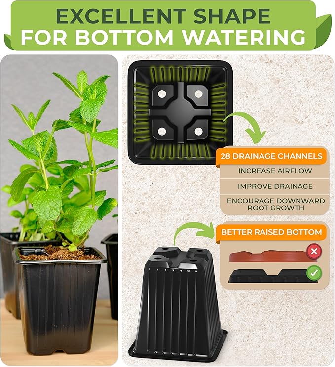 CARPATHEN 60Pack Square Nursery Pots - 3.5 Inch Seedling Plant Pot with Drainage Holes - 1020 Tray Optimized - Reusable Sturdy Seed Starter Pots for Flowers, Vegetables, Greens