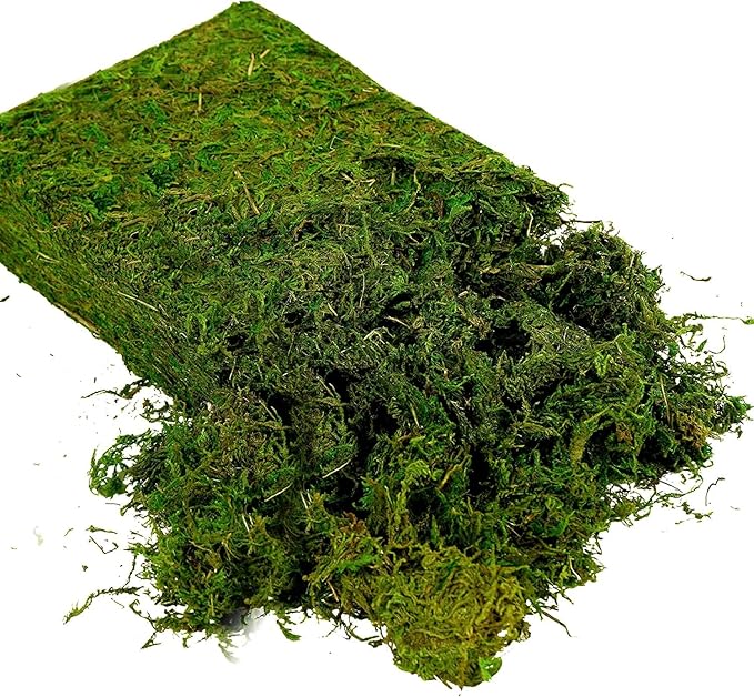 USMOLA Artificial Moss, 16OZ Fake Moss for Crafts Table Centerpieces Fairy Garden Wedding Party Decor, Faux Grass for Potted Plants, 455gr (Fresh Green)