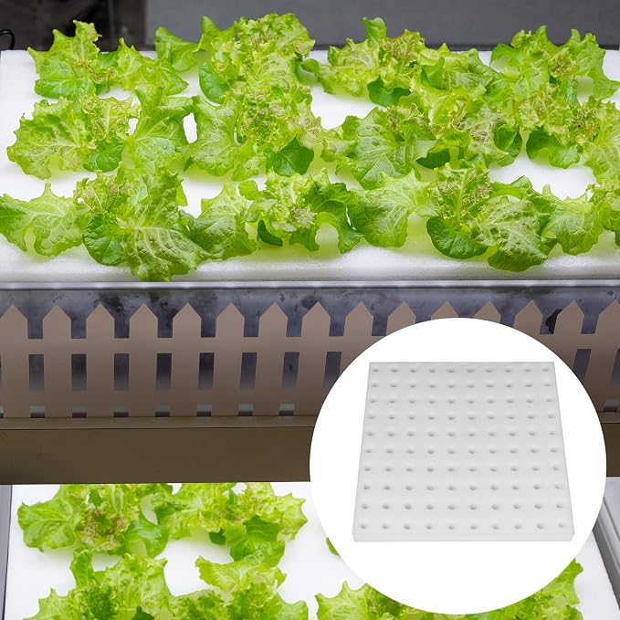 200 Pcs Hydroponic Sponges Planting Gardening Tool Soilless Cultivation Seedling Sponges Cultivation Sponge Greenhouse for Small Bud Growth & Grow Seedlings