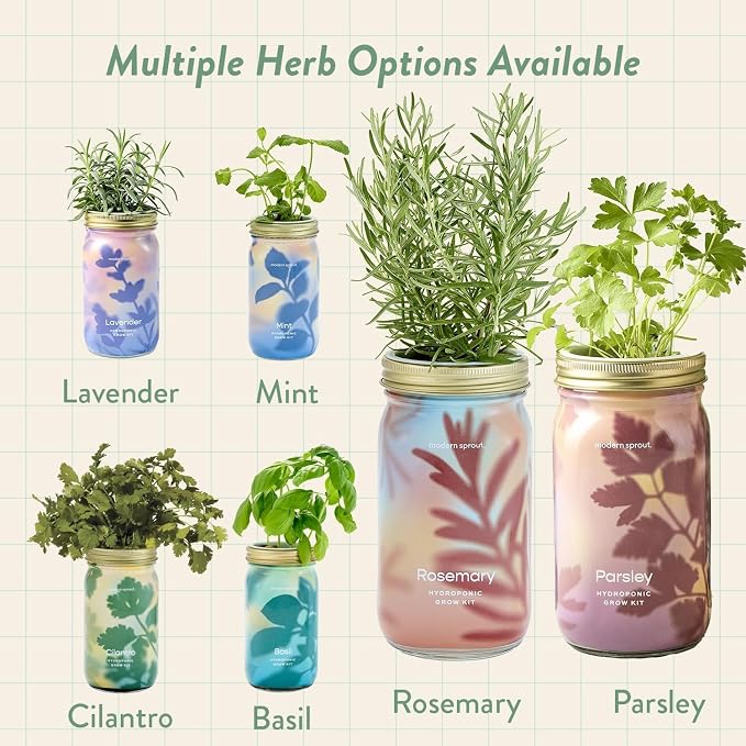 Modern Sprout Garden Jars+Smart Growbar Bundle- Self-Watering Hydroponic Herb Growing Kit with Full-Spectrum LED Grow Light, Organic Herb Seeds, Smart App, Adjustable Brightness, Gift for Mother's Day