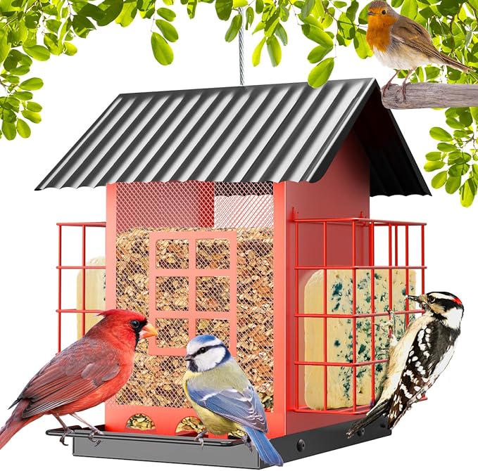 FlowaFoli Bird Feeders for Outdoors Hanging, Metal Bird Feeder with Double Suet Cage Cake, Large Capacity, Birdfeeders Sturdy & Weatherproof, Easy to Clean & Refill, Great for Attracting Wild Birds