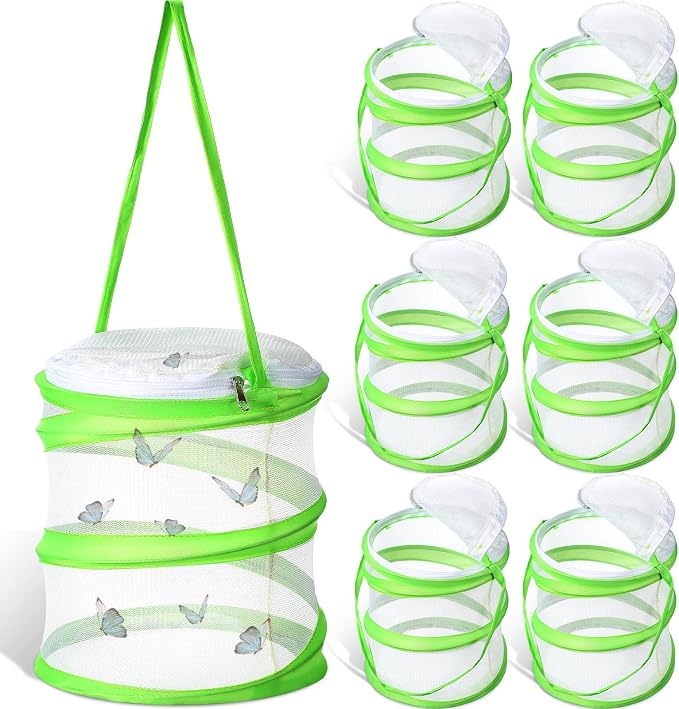 Sherr 6 Pcs Mini Butterfly Habitat Cage Clear Mesh Butterfly Net Cage Container Foldable Terrarium, 6.2x7.1inch (Green)
