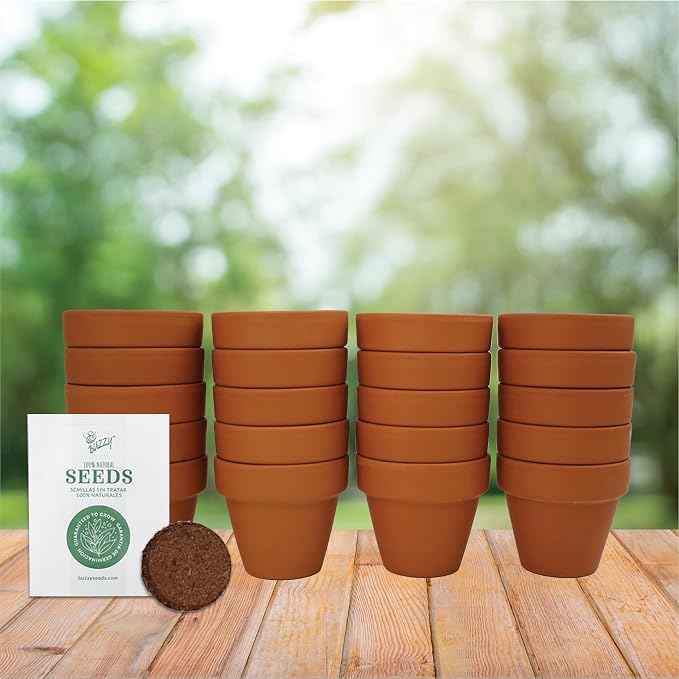 BUZZY Seeds Sunflower Grow Kit, Bulk 20-Pack - Mini Terracotta Pot Grow Set - Complete Indoor/Outdoor Gardening Kit with Seeds, Coconut Husk Growing Medium & Genuine Pots - 100% Grow Guarantee