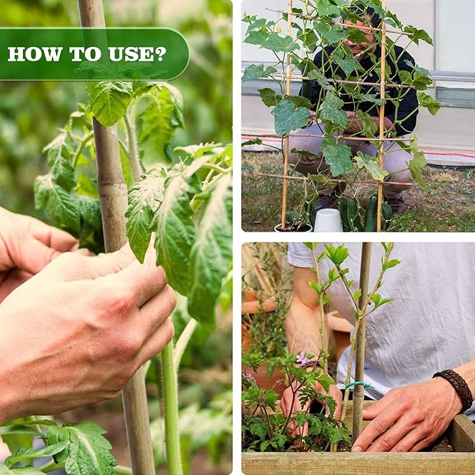 Jollybower 15pcs 3/4" D Thicker Heavy Duty Bamboo Stakes, 7FT Plant Stakes, Natural Garden Stakes for Tomato, Bean, Flowers,Trees Potted and Climbing Plant Support